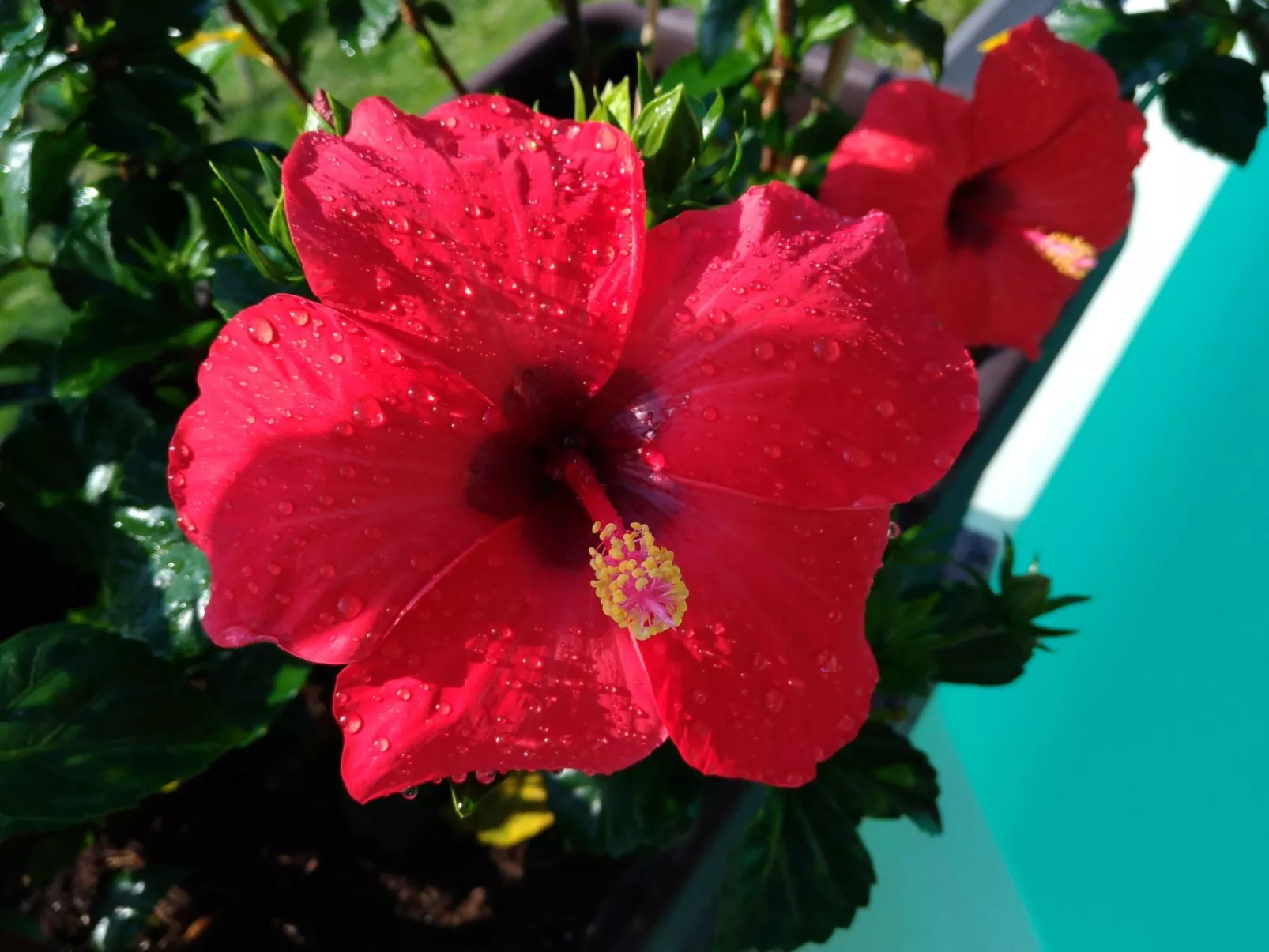 Wohnung mit Schwimmbad und fantastischem Seeblick-Buiten