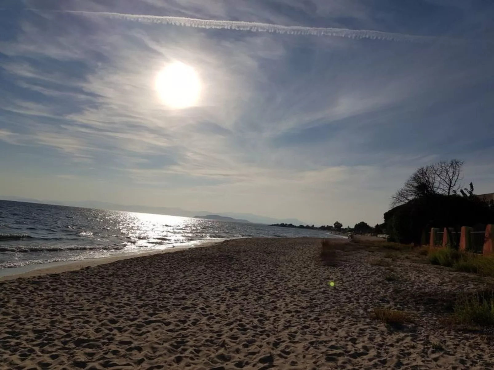 Su Niu Crobu-Image-tags.info