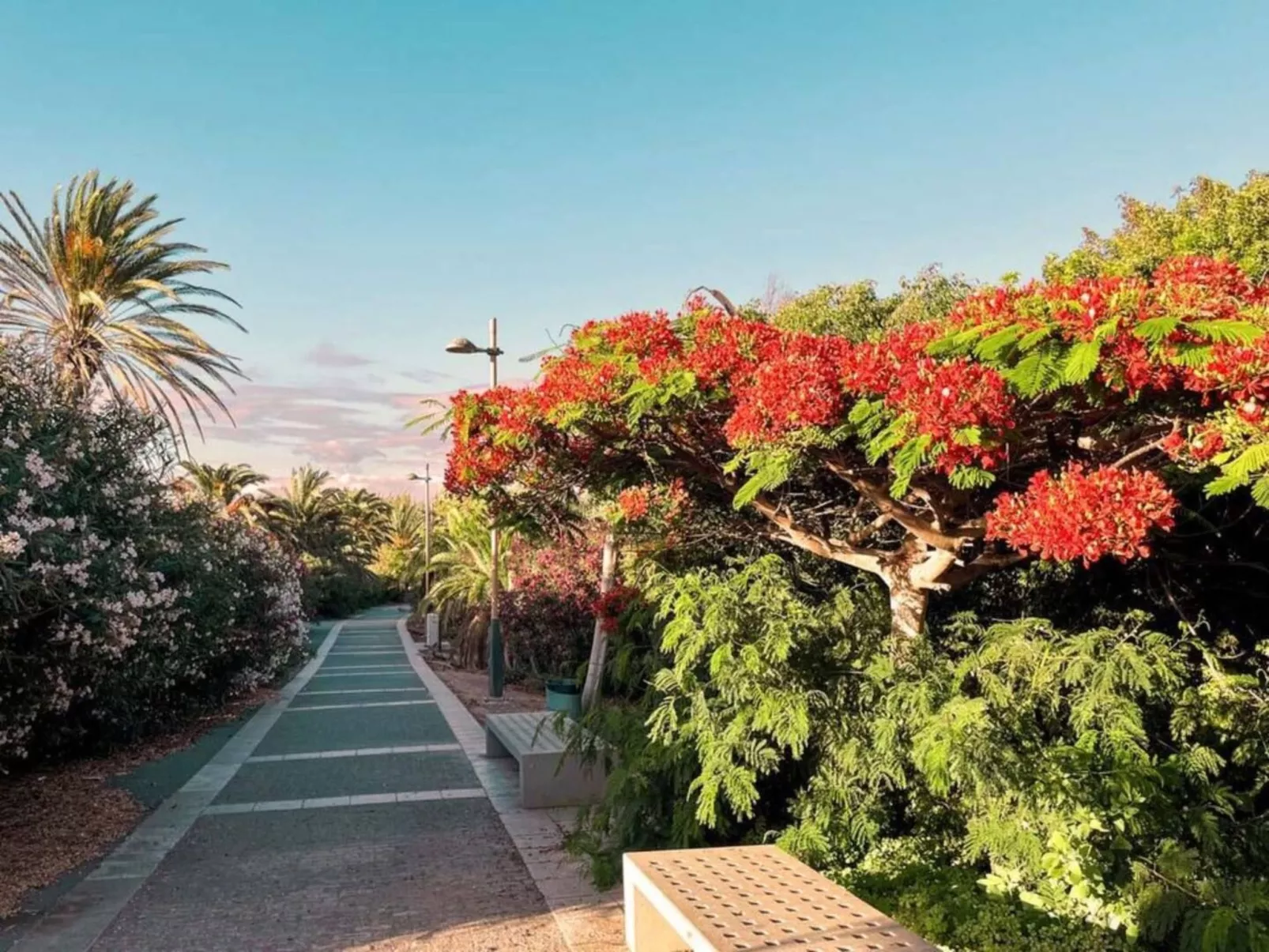 Casa Del Sol Rio-Buiten