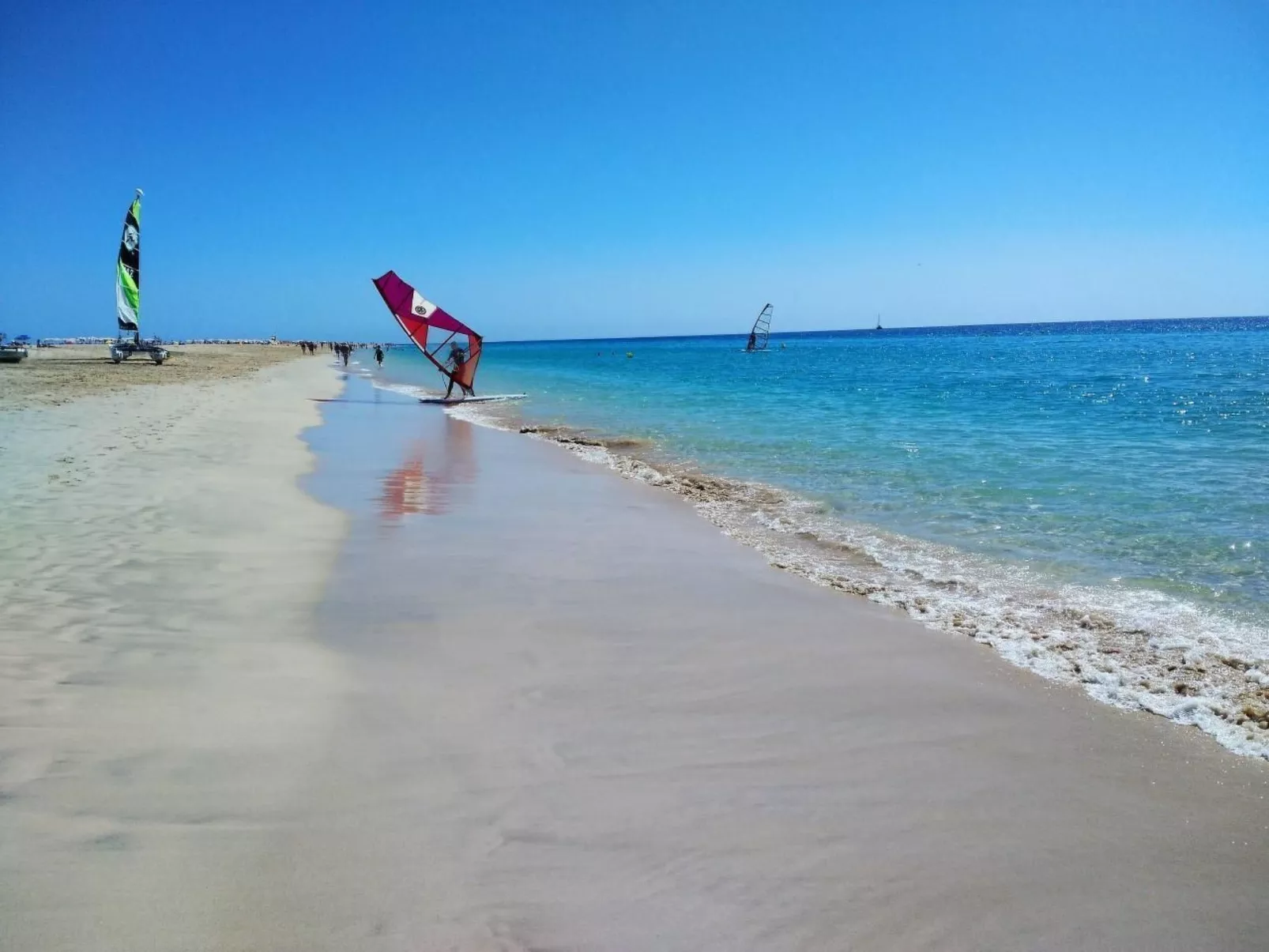 Wohnungen Palm Garden