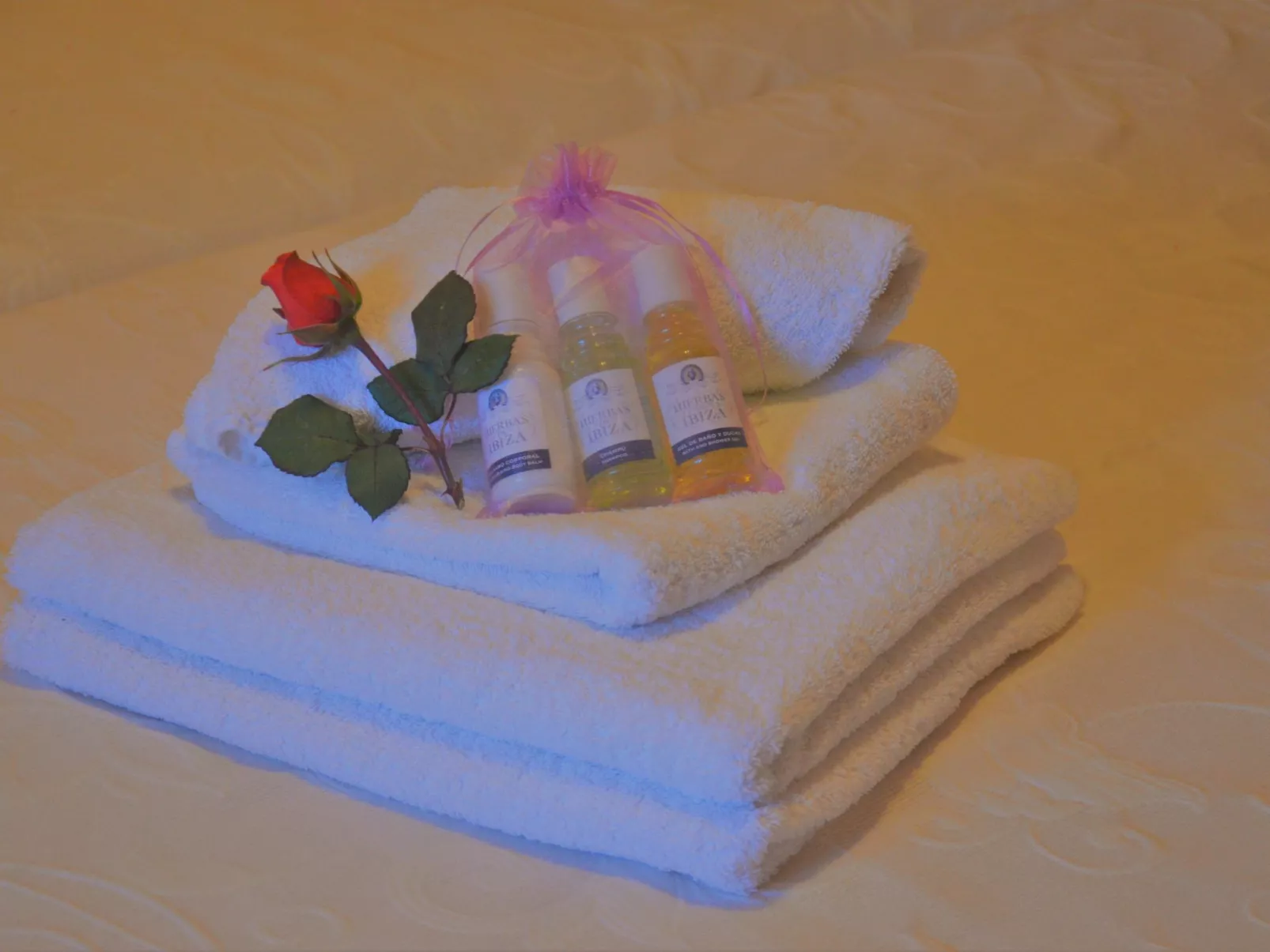 Villa Can Juanó mit privatem Pool-Binnen