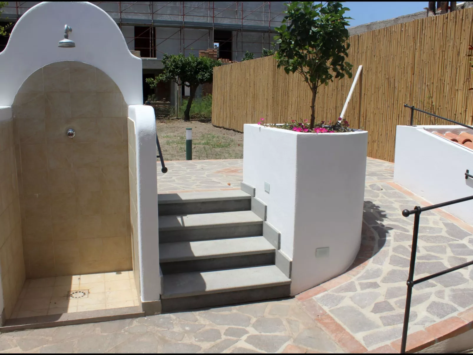 'Camelia ab 236-Image-tags.info