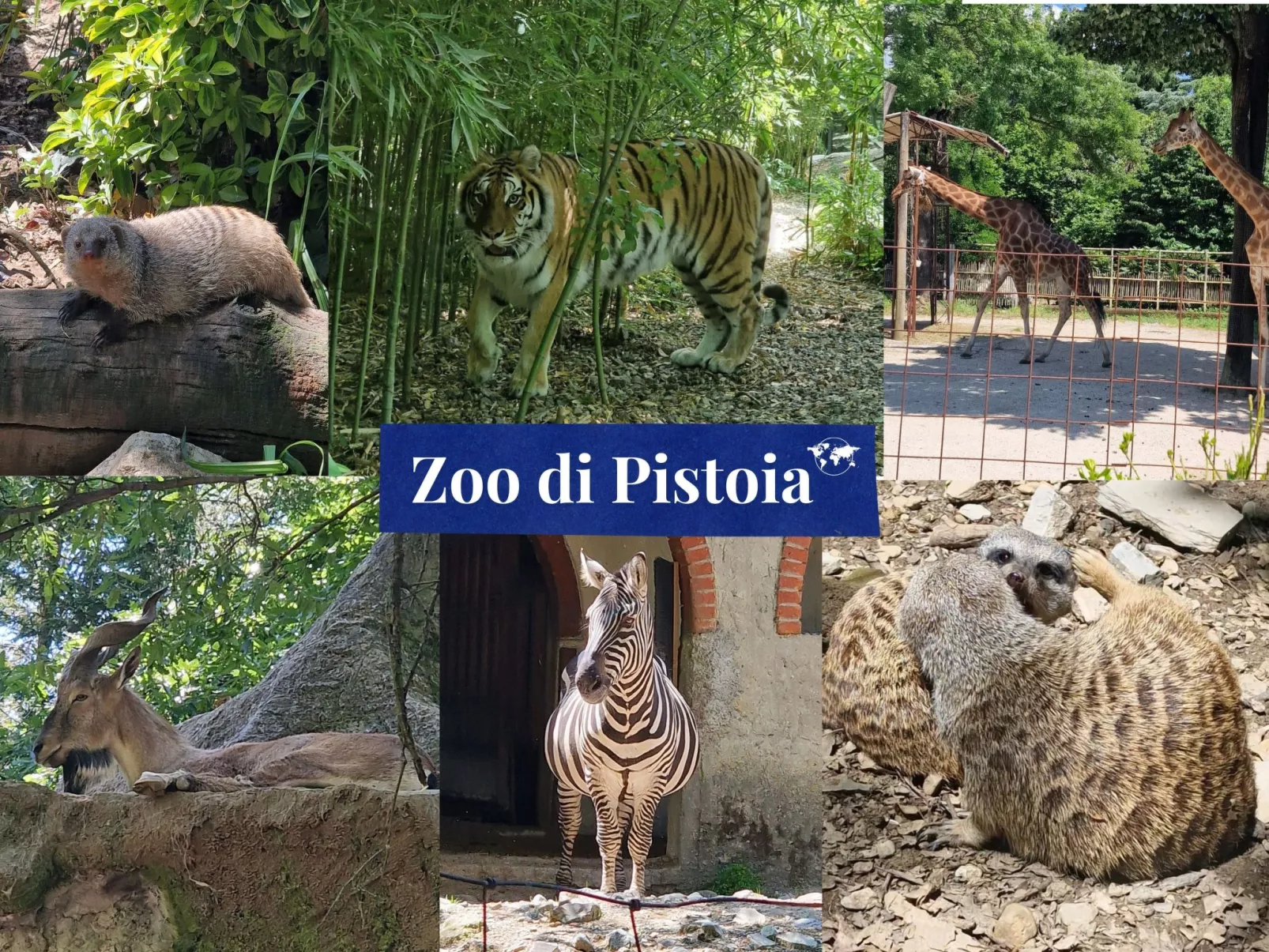 Rosa Selvatica by Holiday World-Buiten