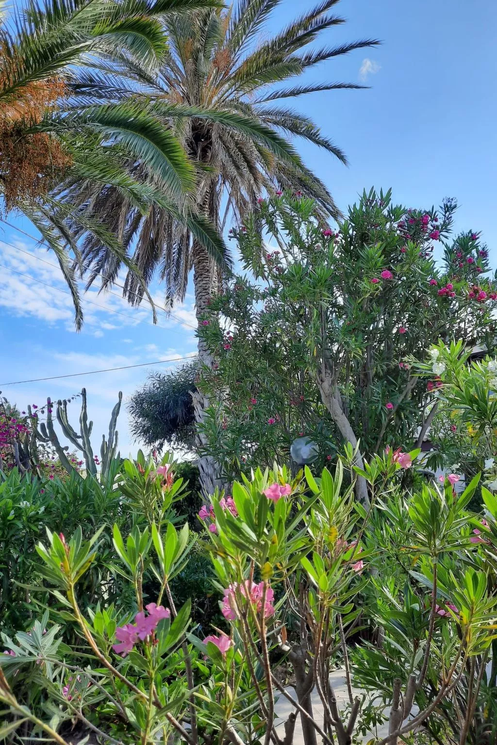 Schöner zentraler Bungalow direkt am Sandstrand auf Sizilien