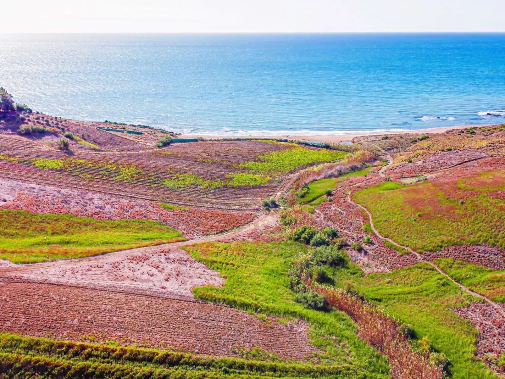 Villa Mamma Martinella-Buiten