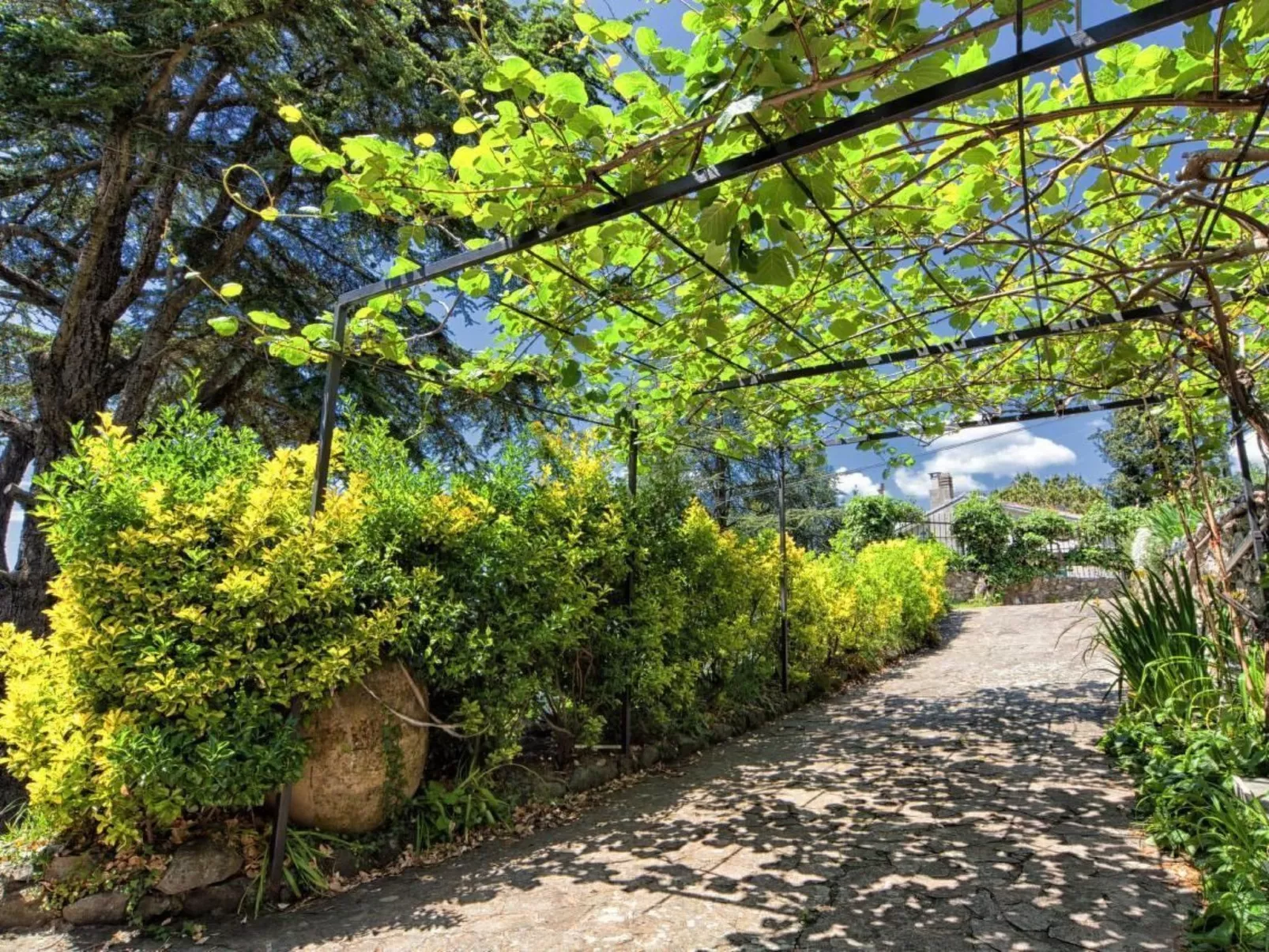 Wohnung in Velva mit Grill, Terrasse und Garten-Image-tags.info