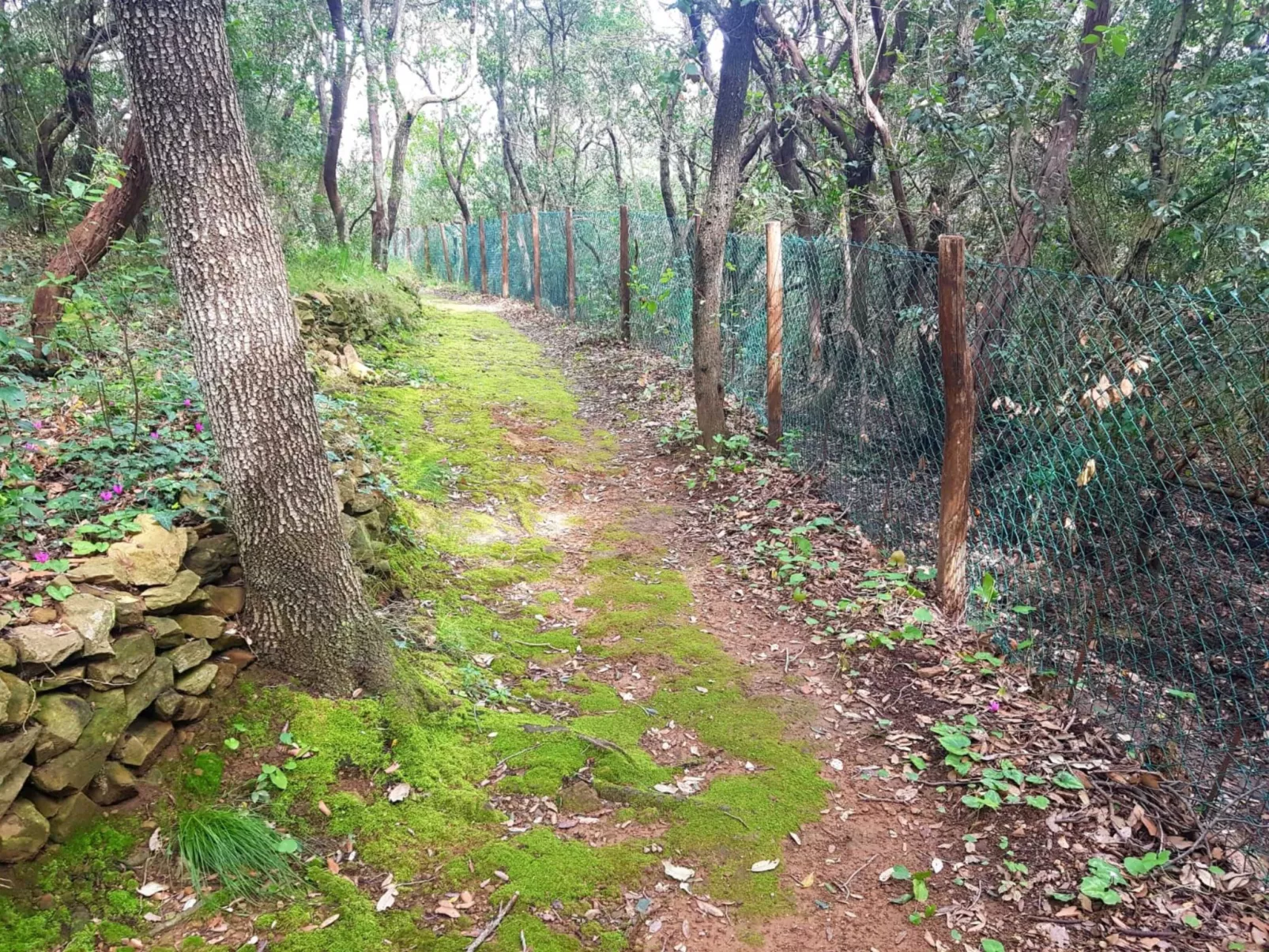 Wohnung zwischen Grün und Meer-Buiten