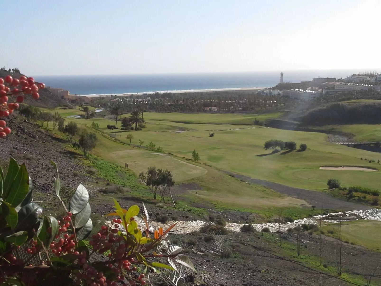 Sonniges Ferienhaus mit Grill, Garten und Pool-Buiten