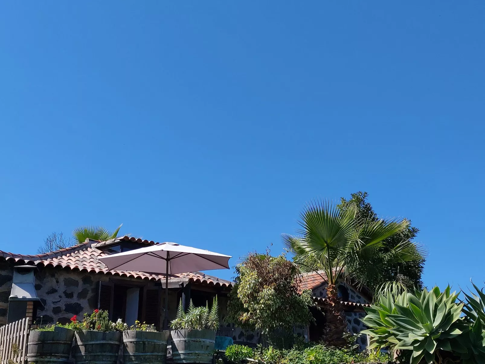 FW Cueva del Viento-Image-tags.info