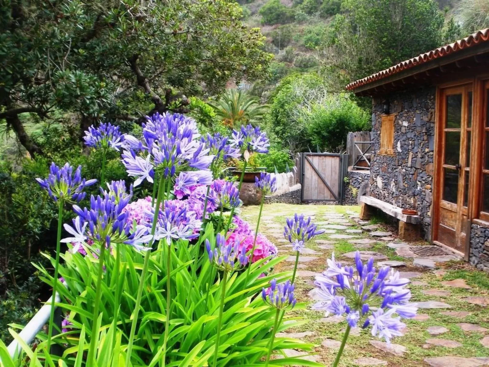 Freistehendes Ferienhaus La Maleza in La Palmita