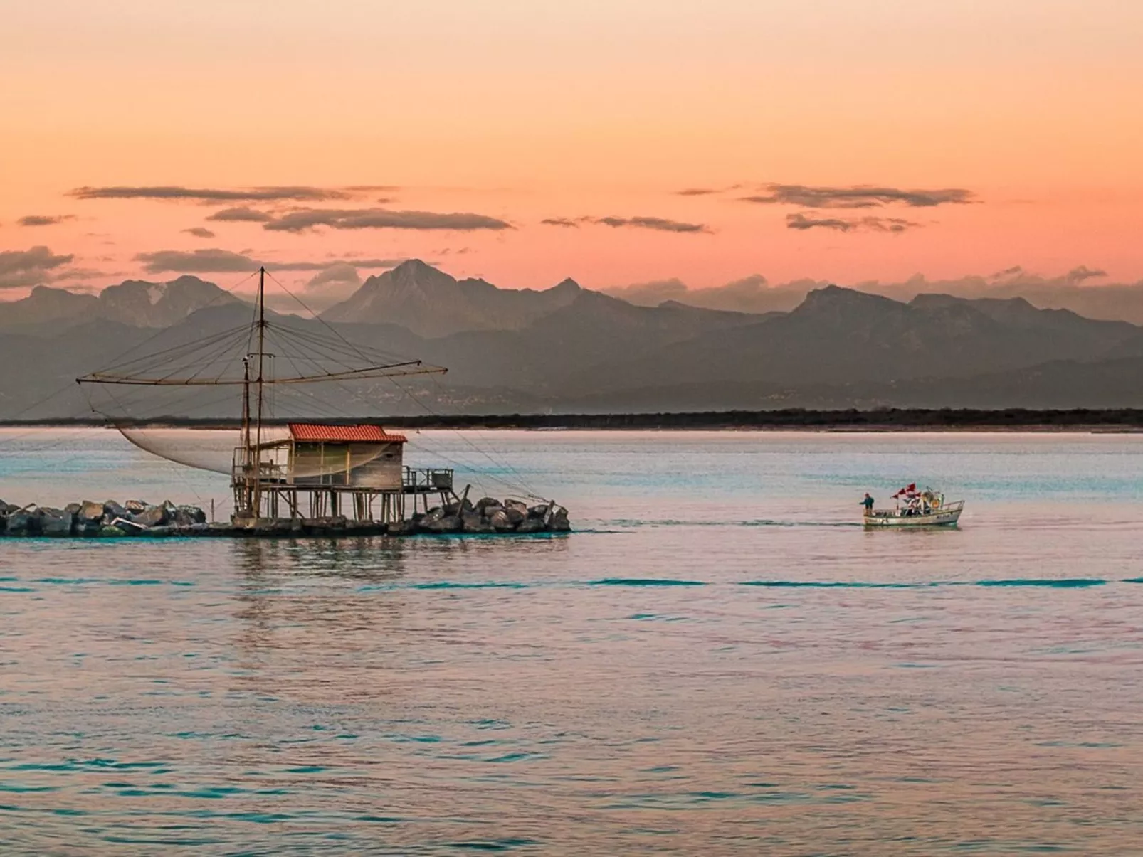 Wohnung in Marina Di Pisa mit Garten-Image-tags.info