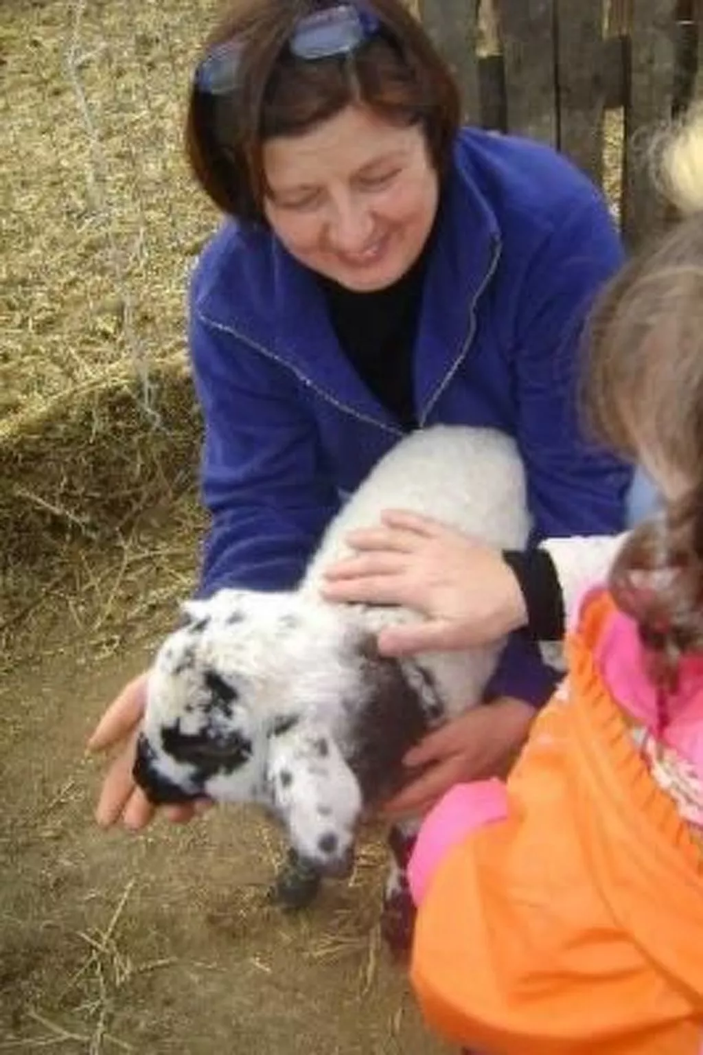 Intero Agriturismo-Image-tags.info