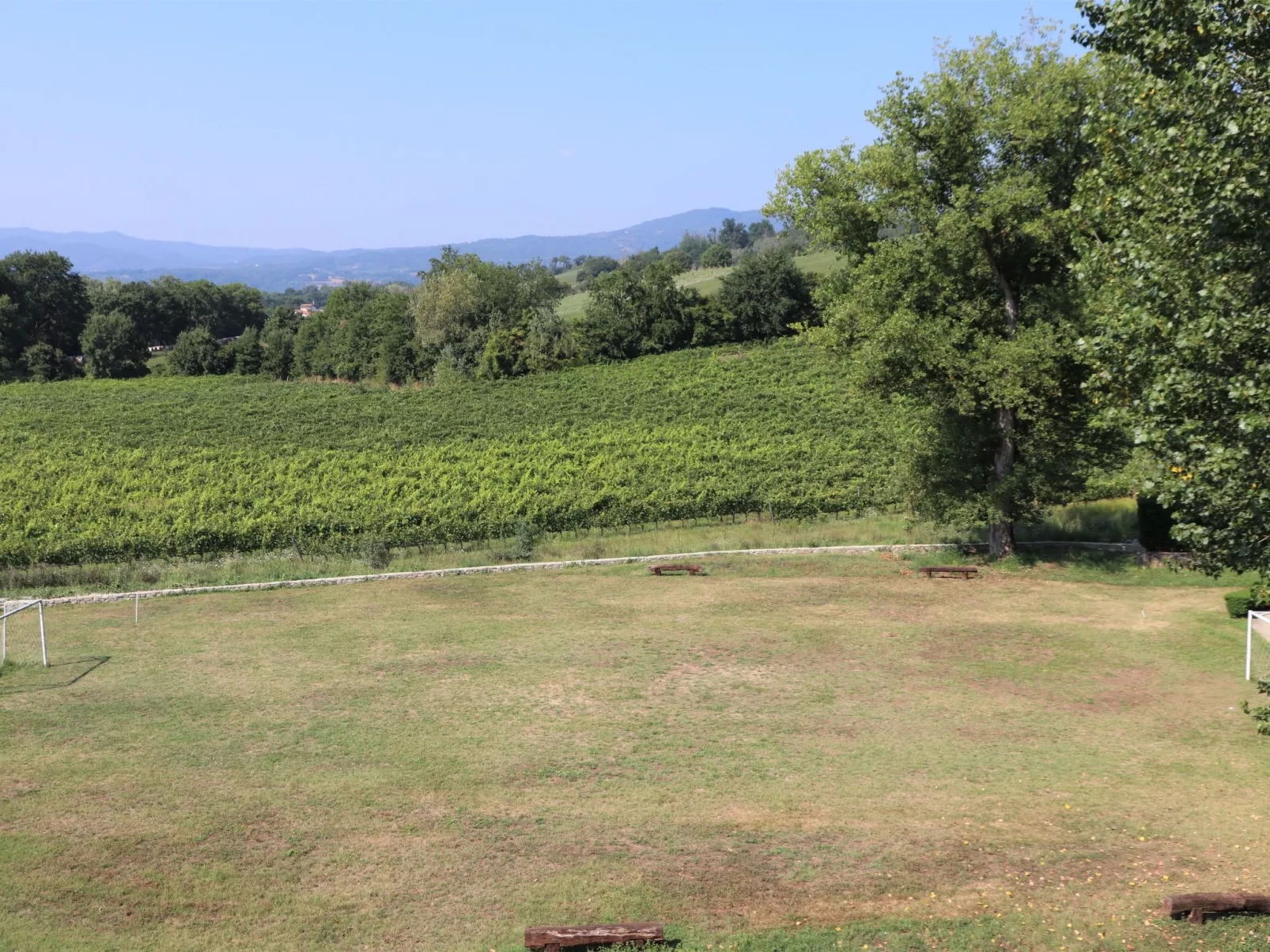 Schönes 1-Zimmer-Apartment-Buiten