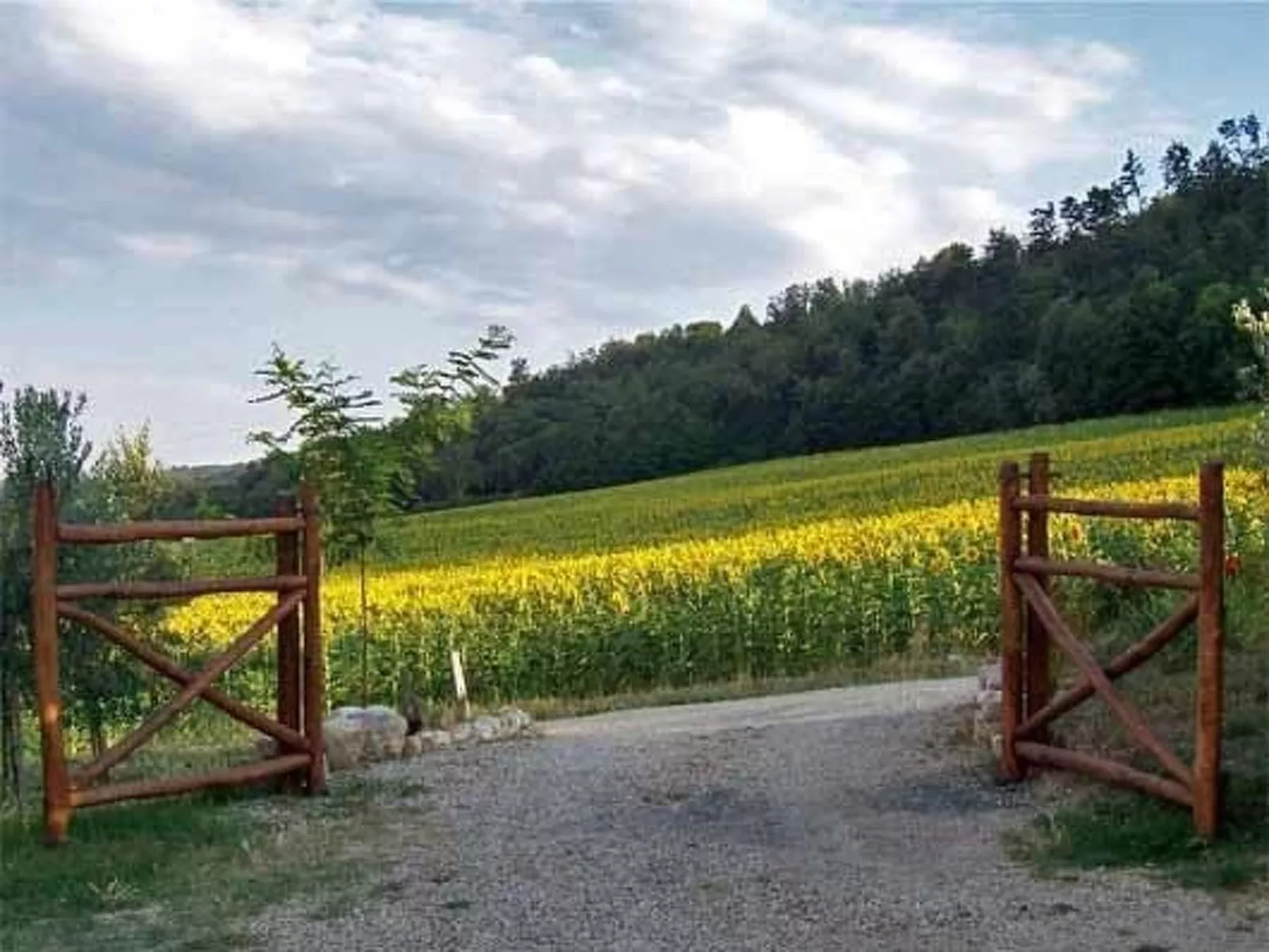 Großes Appartement-Buiten