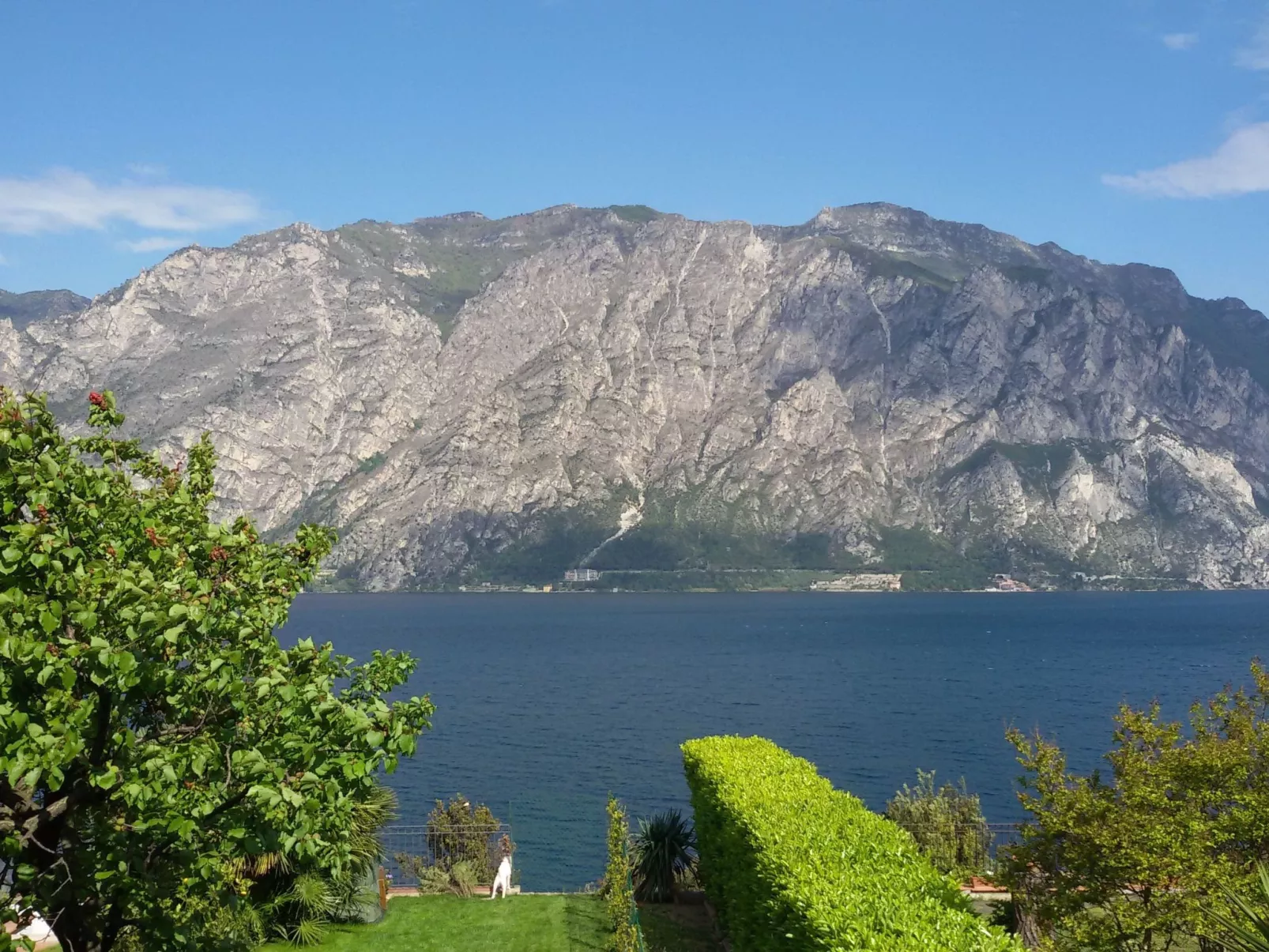 Wohnung mit herrlichem Blick auf den Gardasee