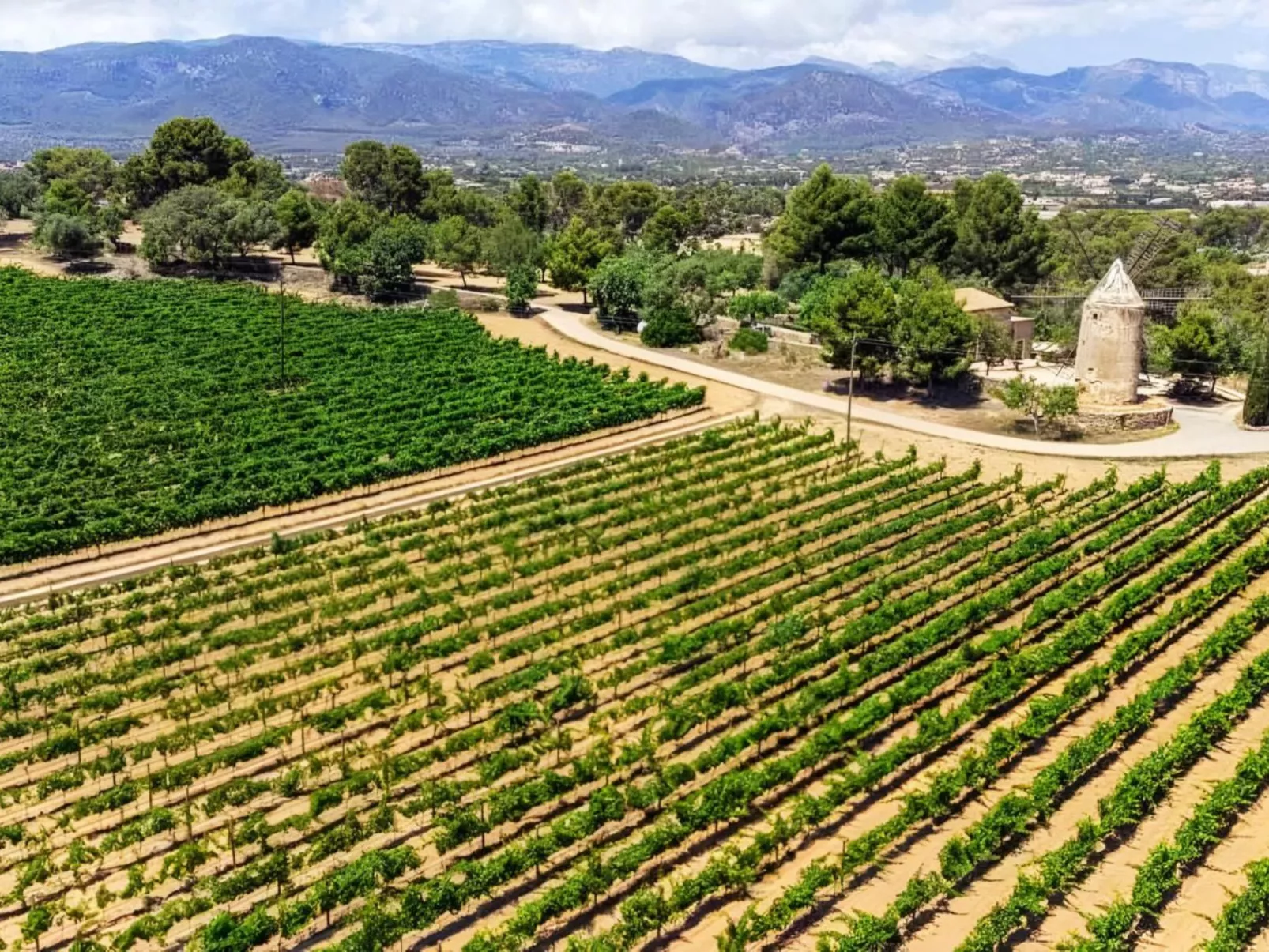 Ferienvilla "Moli-Image-tags.info