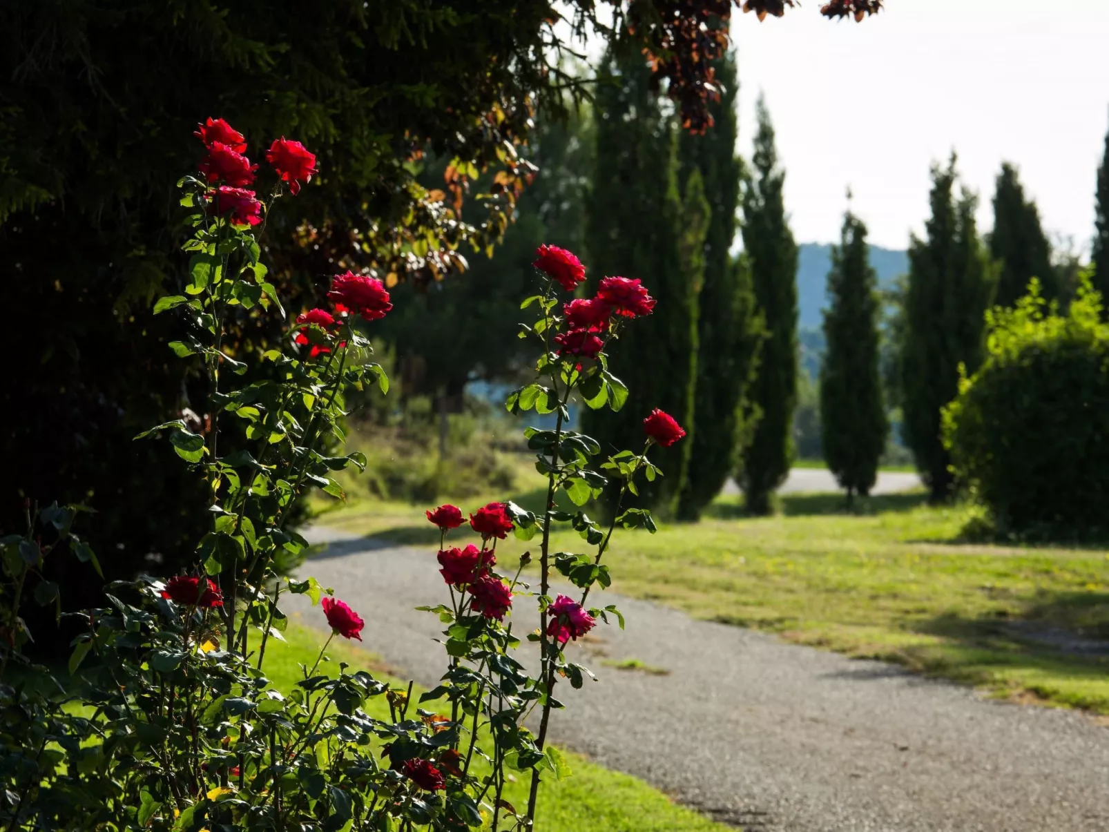 "Cobert del Carro".-Buiten