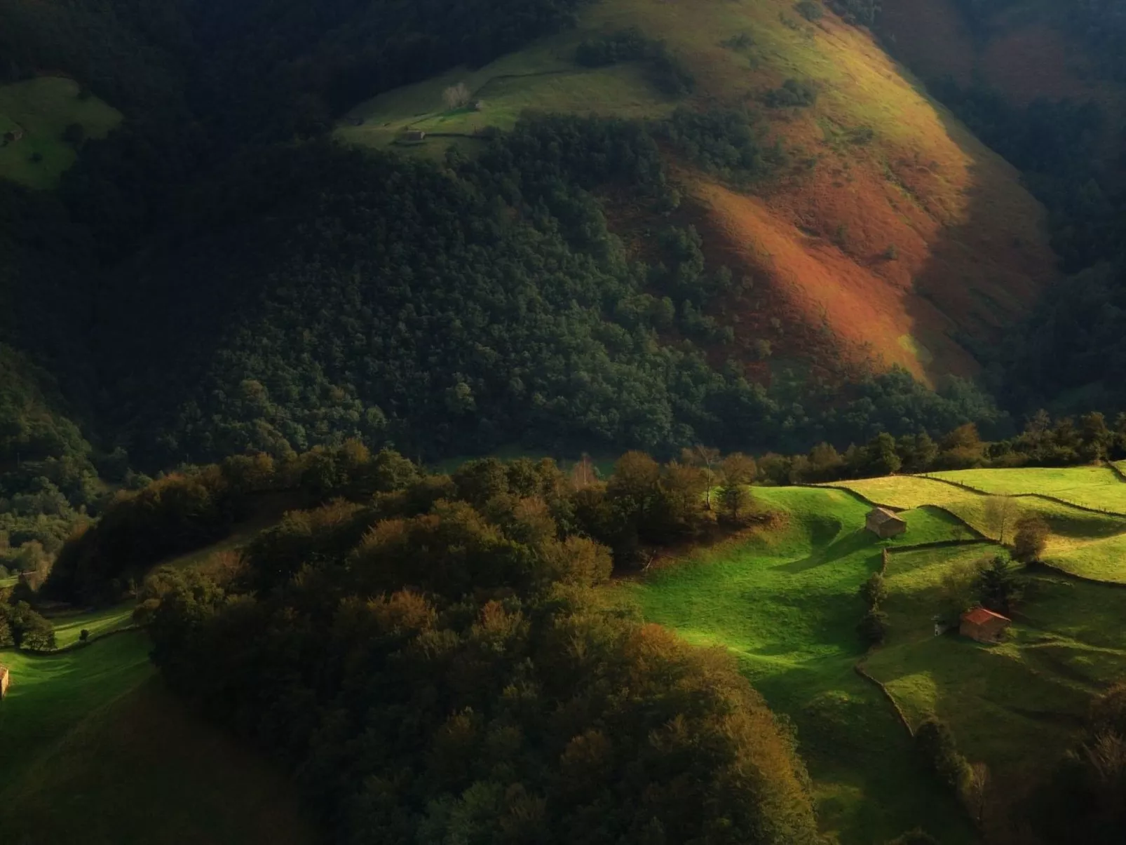 Fachwerkhaus mit Garten - Image-tags.info