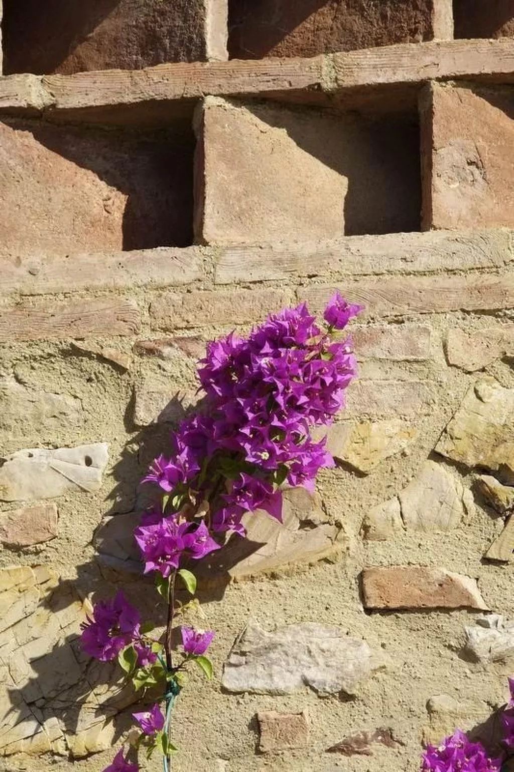 Schönes Ferienhaus in Gambassi Terme mit Privatem Pool