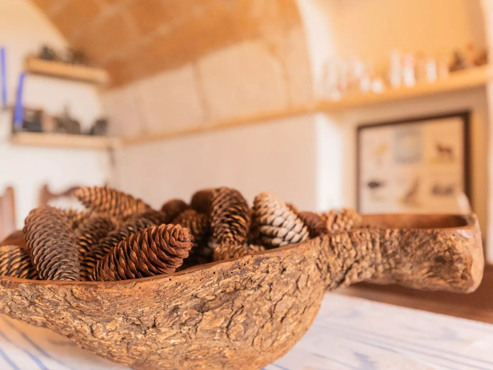 "Murtera-Image-tags.info