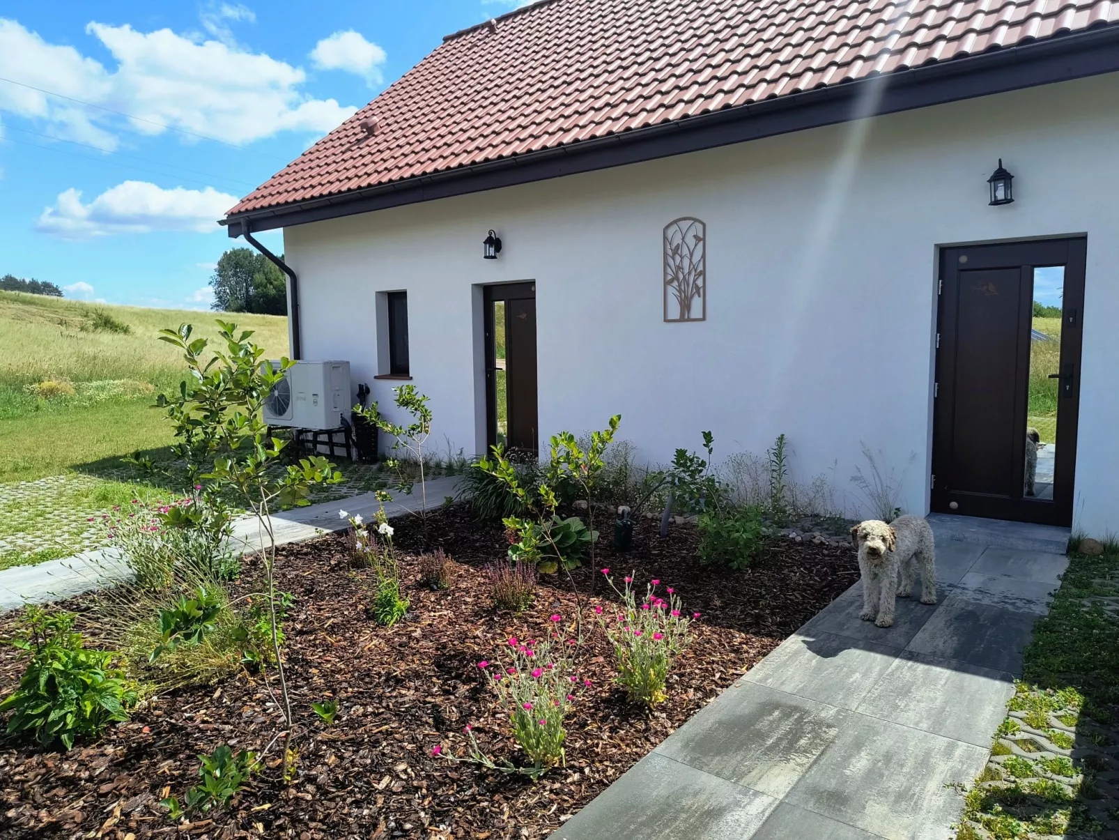 Vogelecke - abseits des Trubels und der Hektik-Buiten