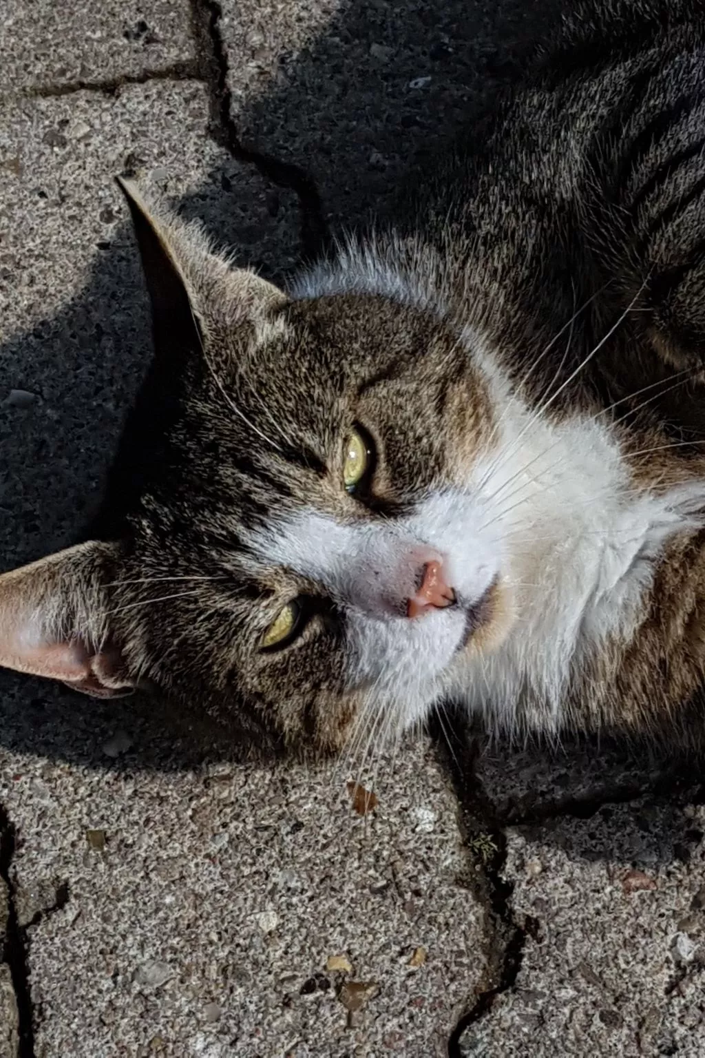 Westrich in guter Ausflugslage