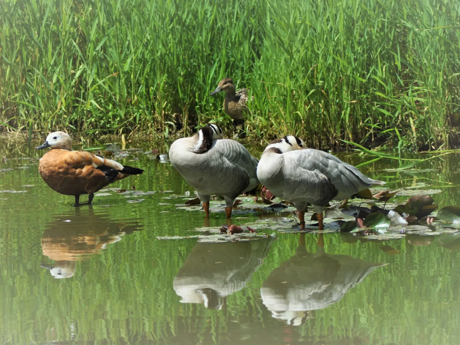 Für 8 Personen - Buiten