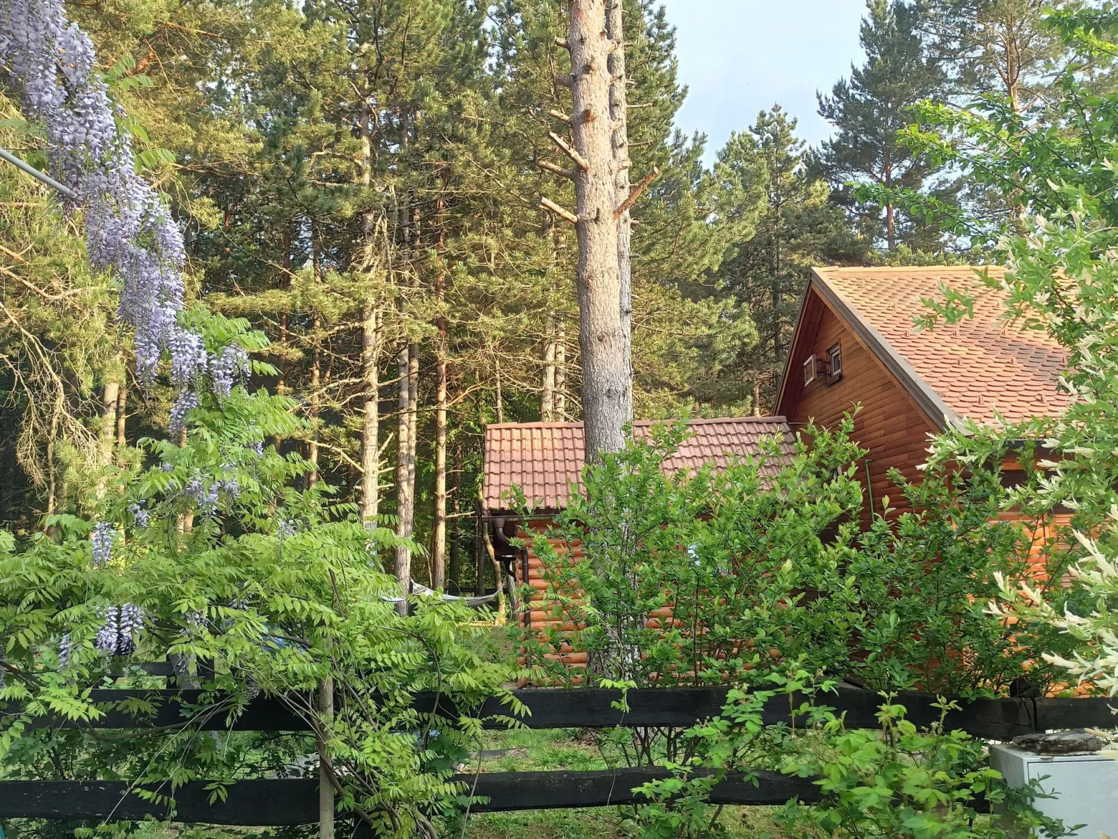 Berghütte "Rural escape Chalet"