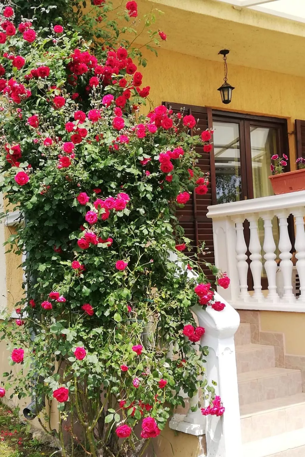 Hütte mit Garten, Grill und Terrasse-Image-tags.info