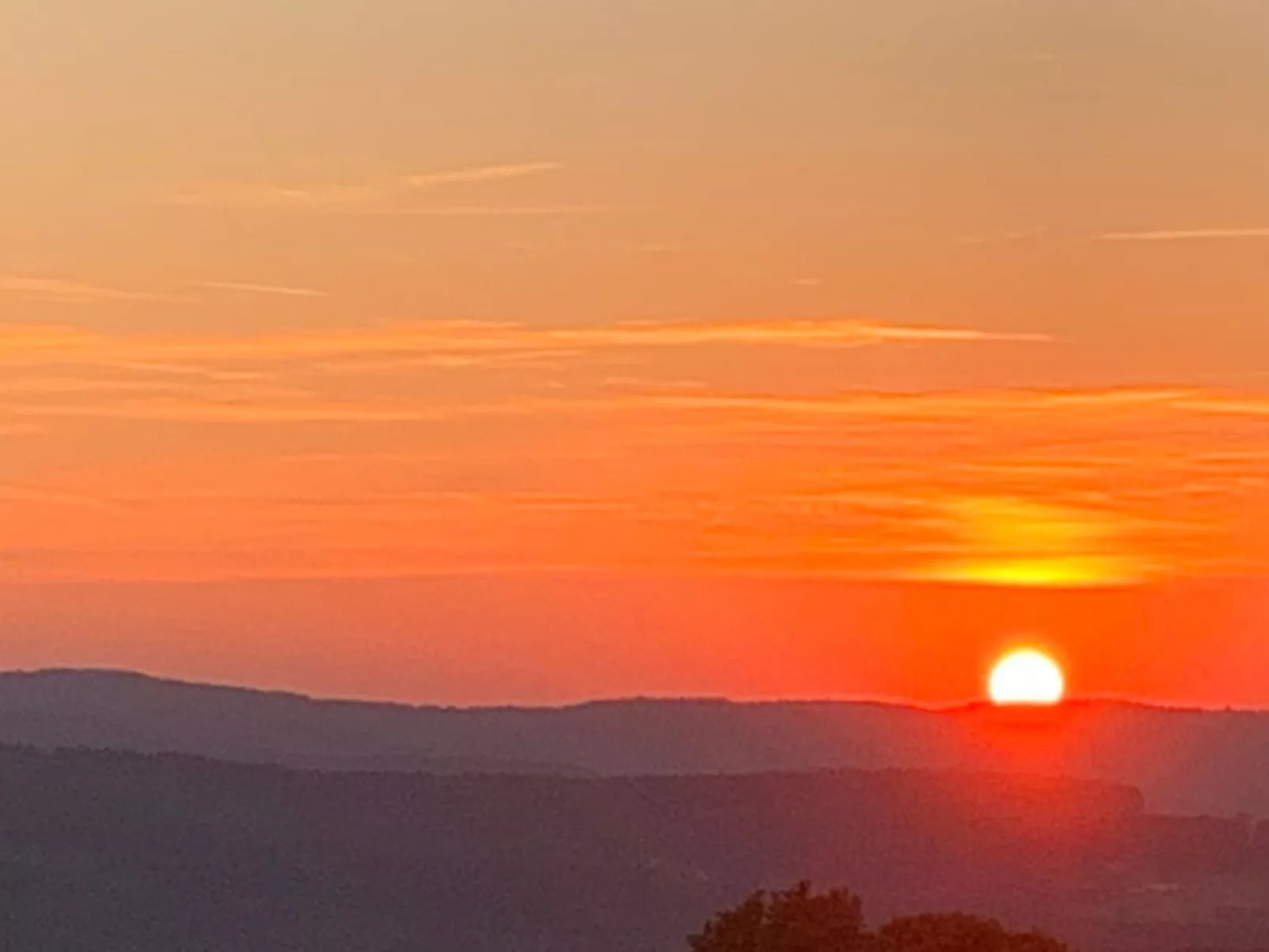 In Erlbach mit Grill und Terrasse-Buiten
