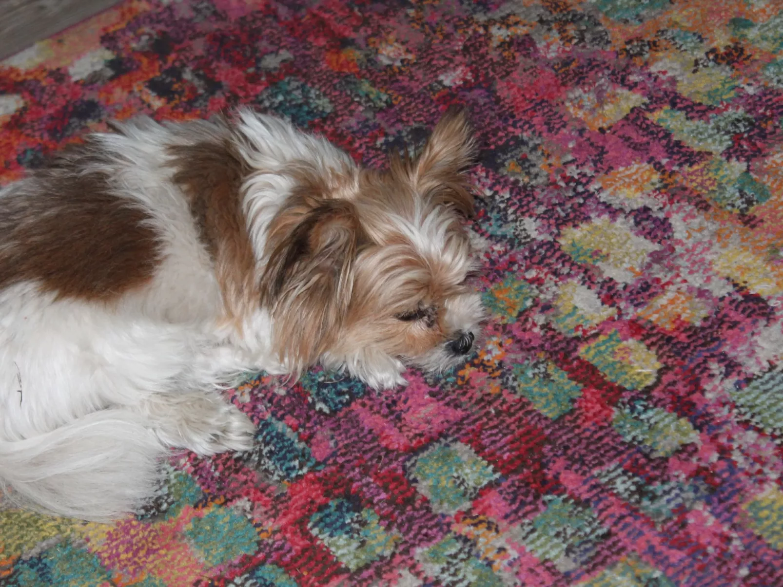 Bungalow Waldidyll-Binnen