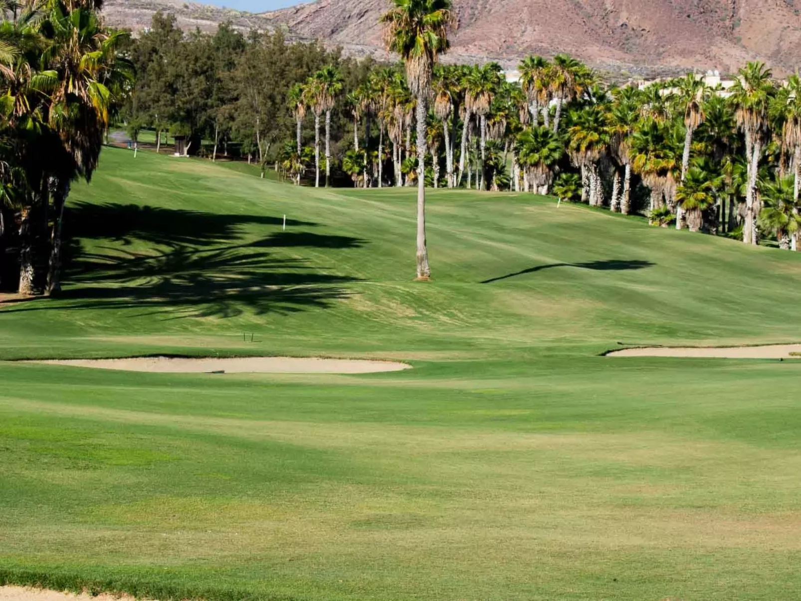 Wohnung mit botanischem Garten und Meerblick - Buiten