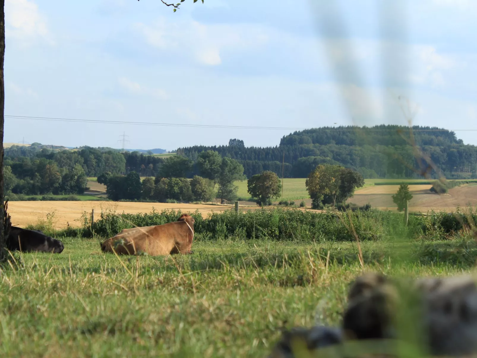 Fewo "Jut Stuff"-Buiten