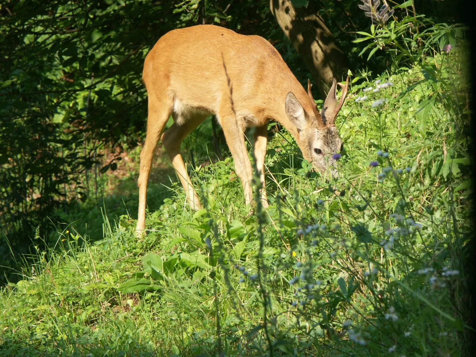 Himmelreichmühle in Sausal-Image-tags.info