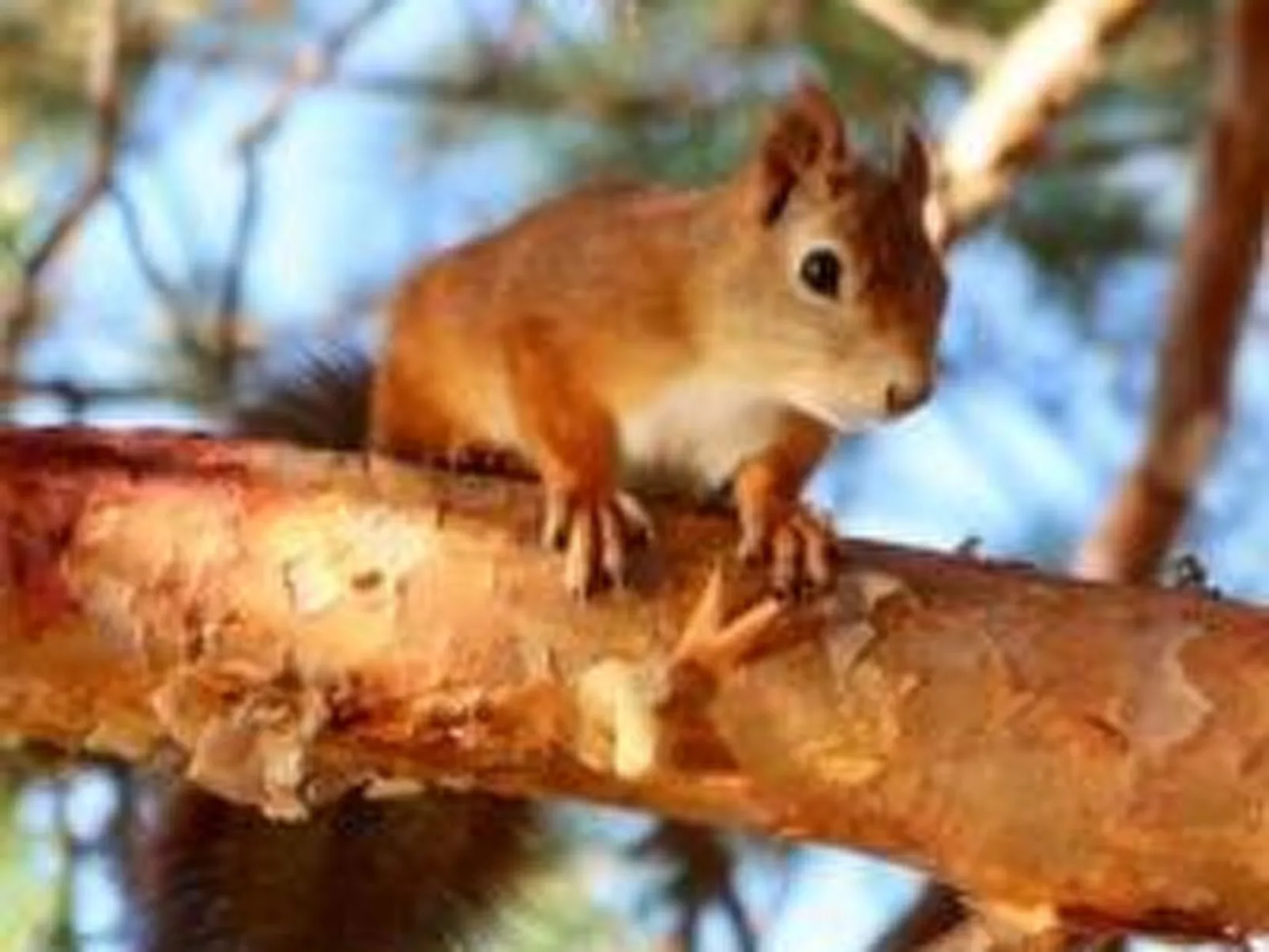 Zu vermieten in der Nähe von Jokkmokk
