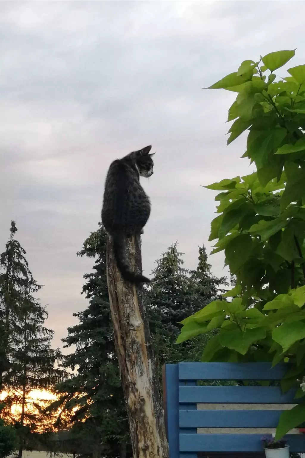 Landhaus Müritzliebe