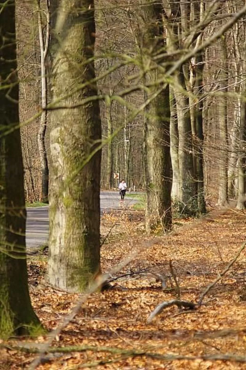 Anwesen "Oranjehorst"-Image-tags.info