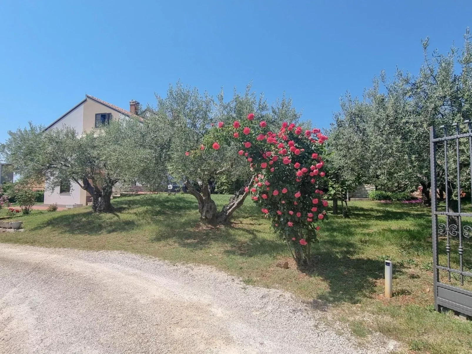 Wohnung "Nadja" mit Blick auf das Wasser-Buiten