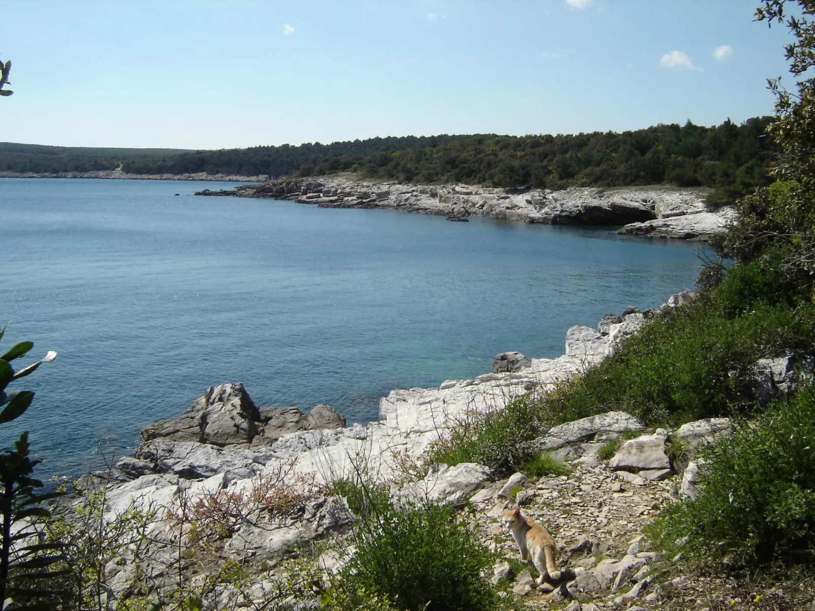 Gemütliches Appartment direkt am Strand