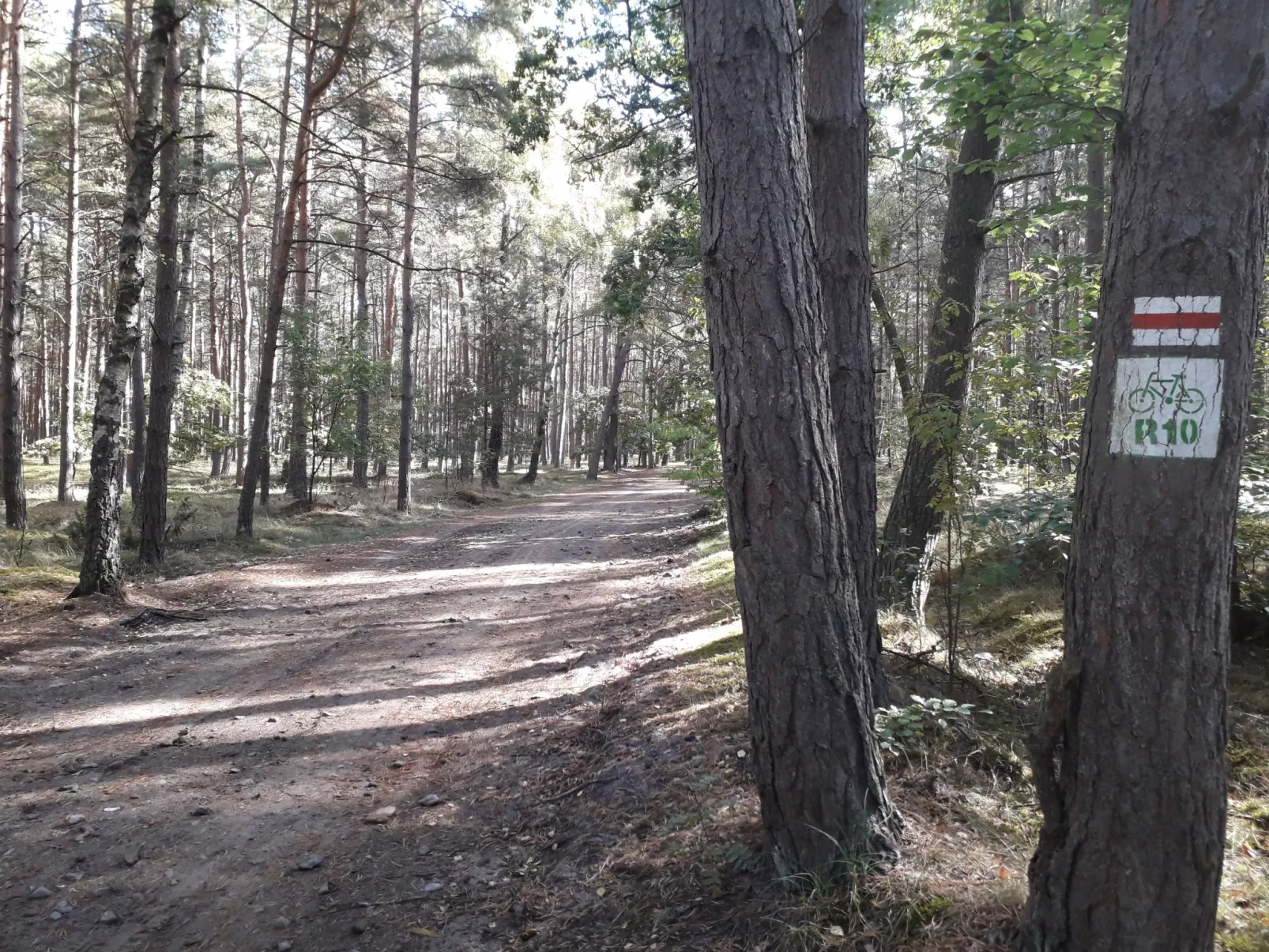 FeWo & Garten &Grill