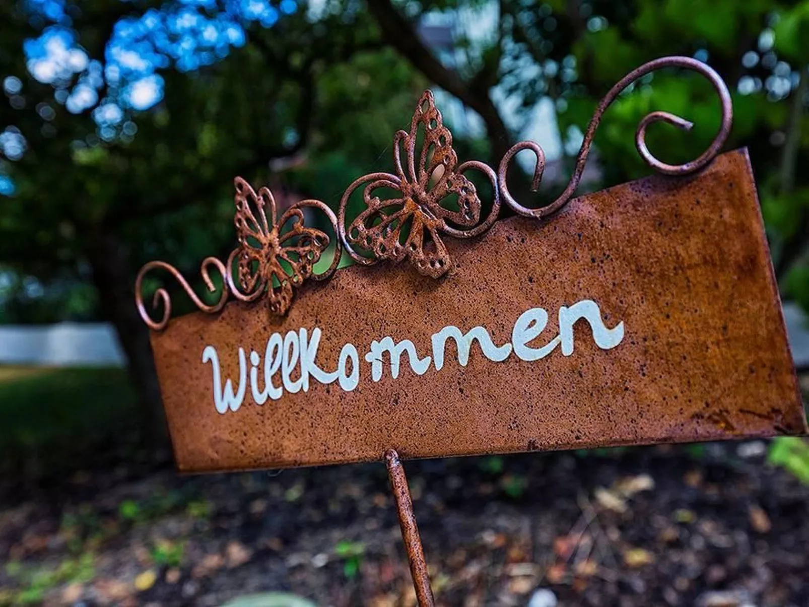 Zum Mensfelder Kopf-Buiten