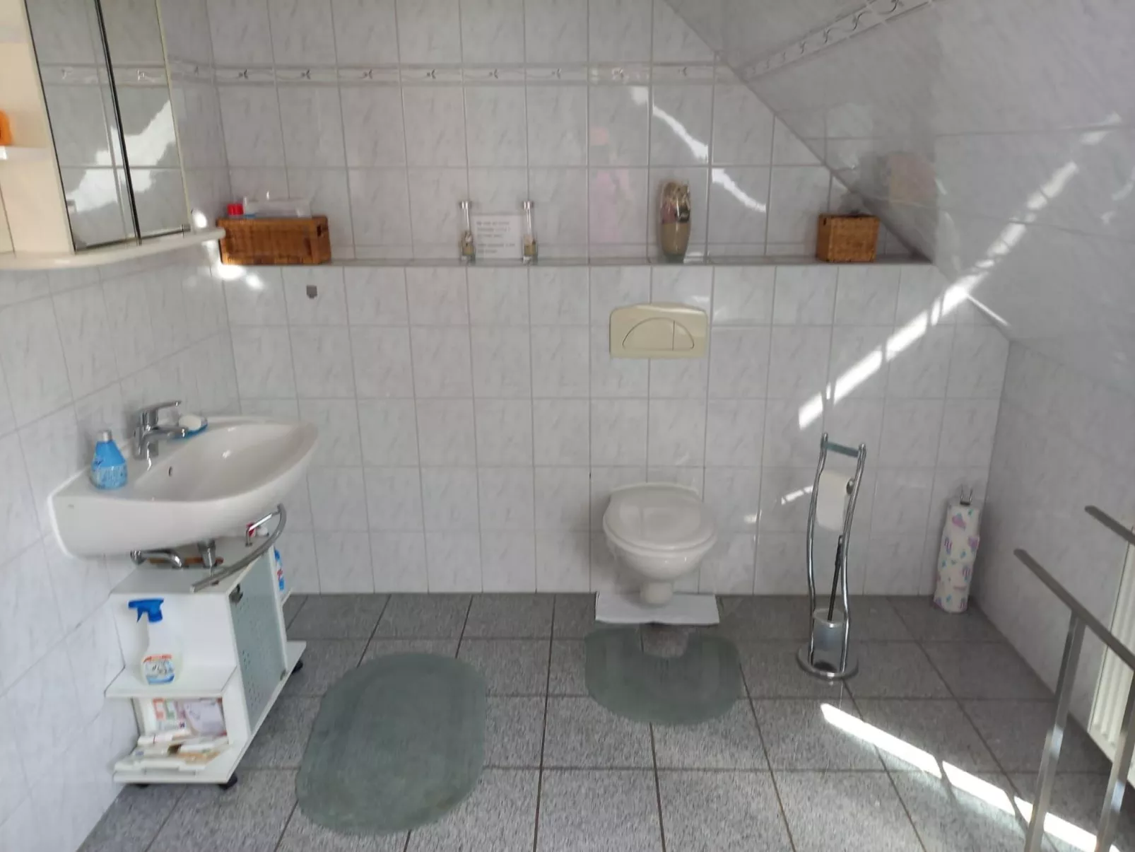 Haus Elbrose inmitten von Rosen mit Elbdeichzugang