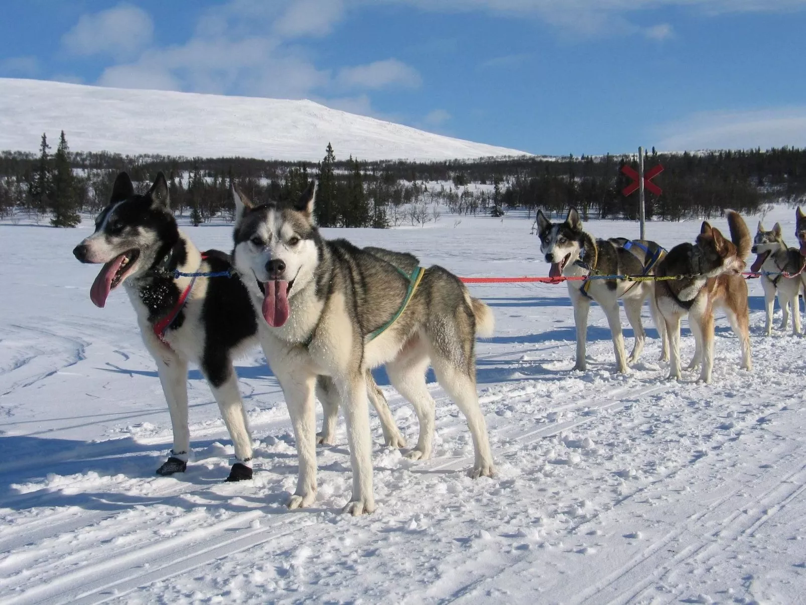 Charmantes Blockhaus, Sauna und Kamin-Buiten