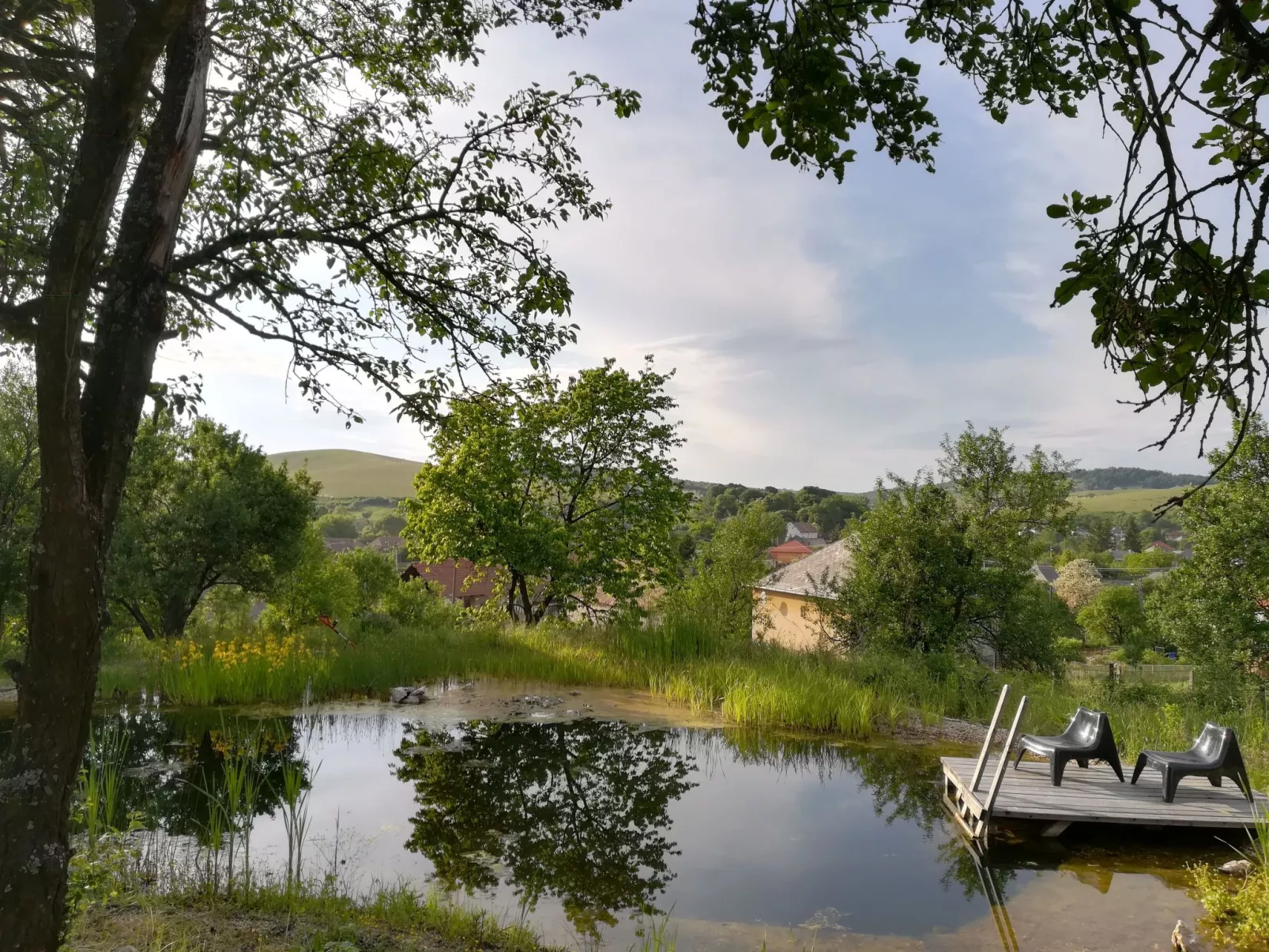 Mit biologischem Schwimmteich