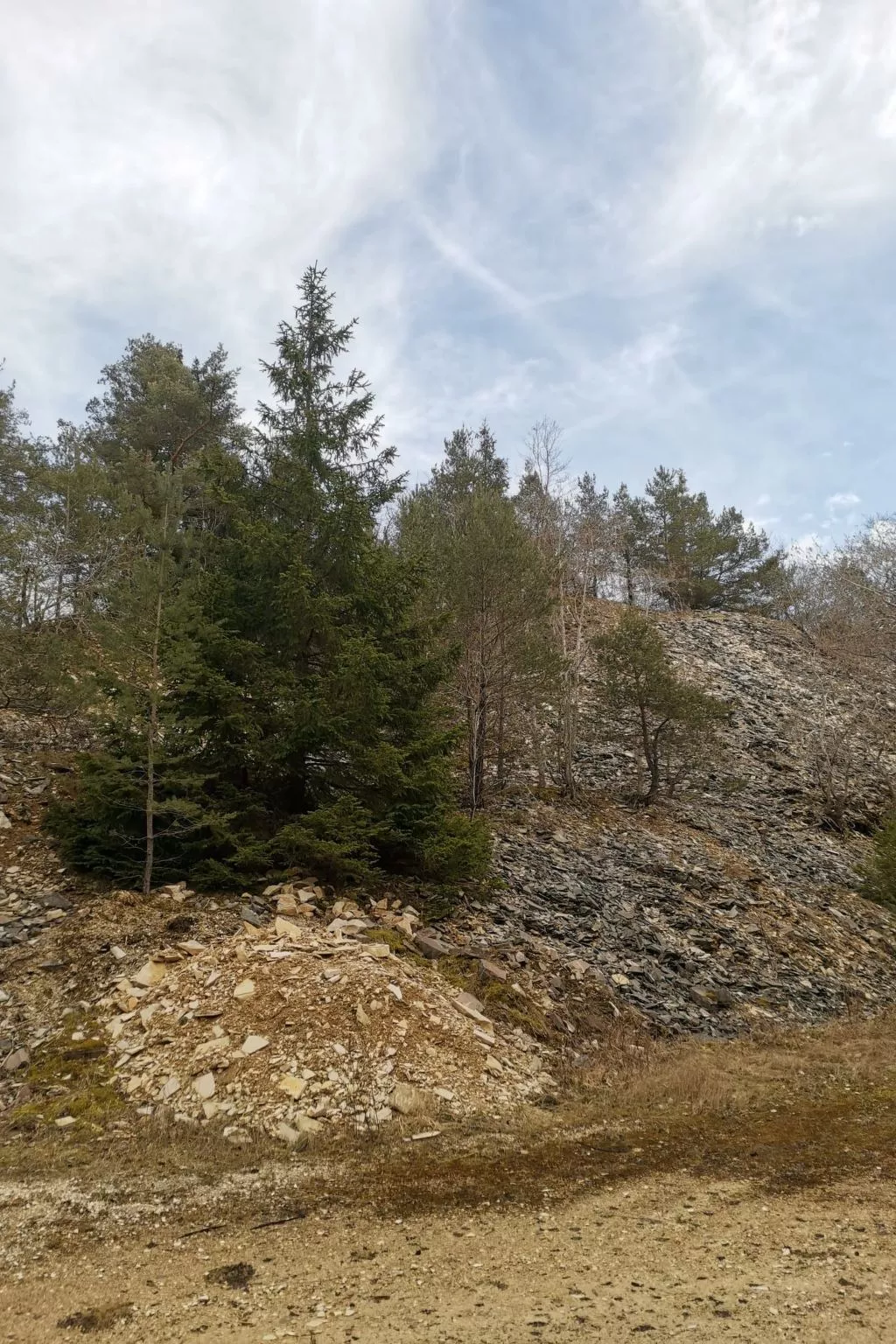 Haus Talblick, am Waldrand