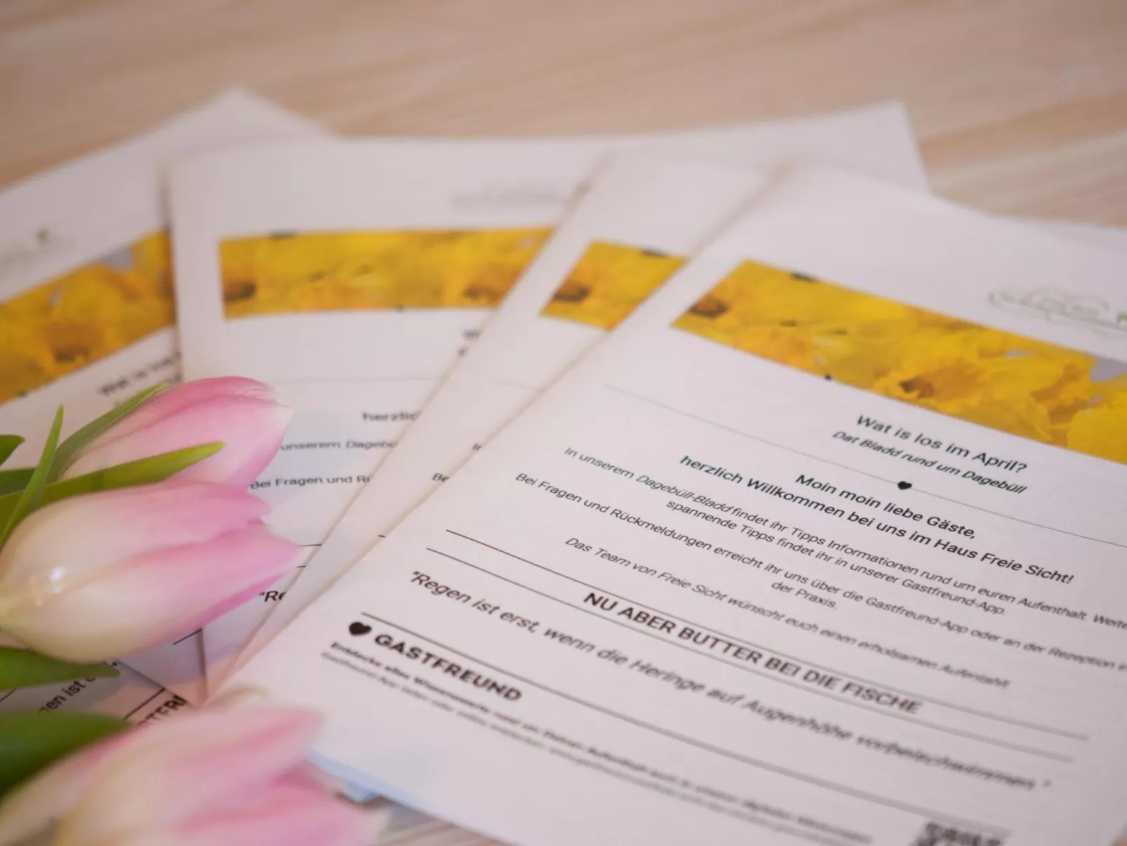 Maritime, moderne Ferienwohnung mit Gartensauna