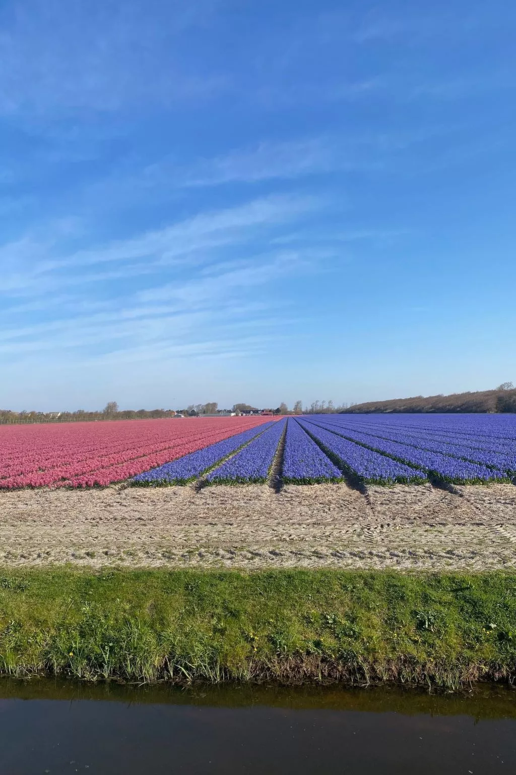 Mit gepflegtem Garten in Julianadorp