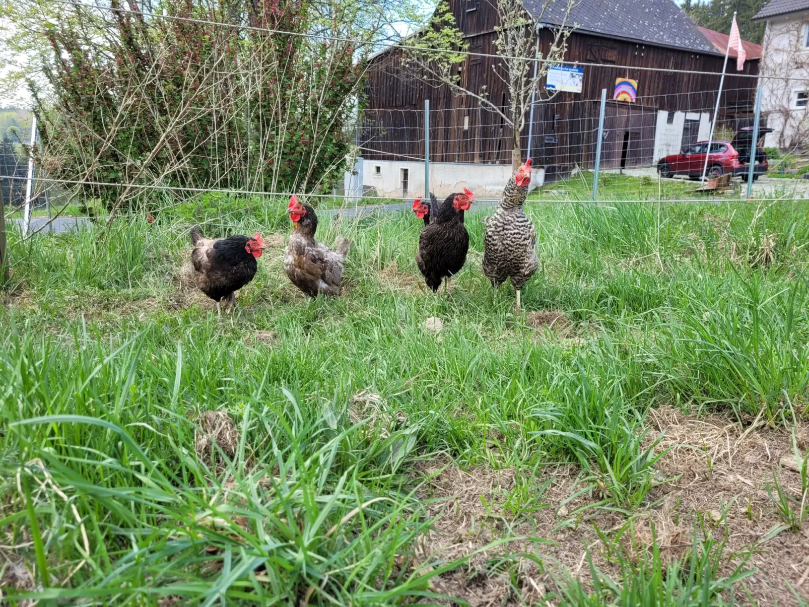 Moderne Ferienwohnung mit Hot Tub und Fasssauna-Image-tags.info