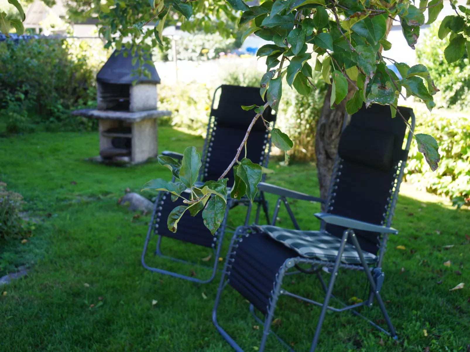 Donau-Quelle in Rietheim