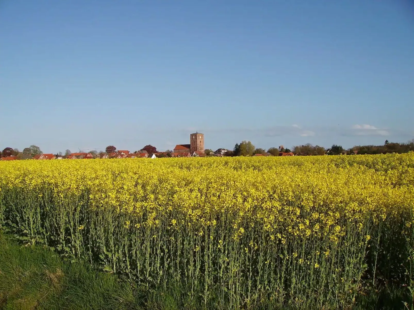 Komfortabler und entspannender Urlaub in Marienhafe-Image-tags.info